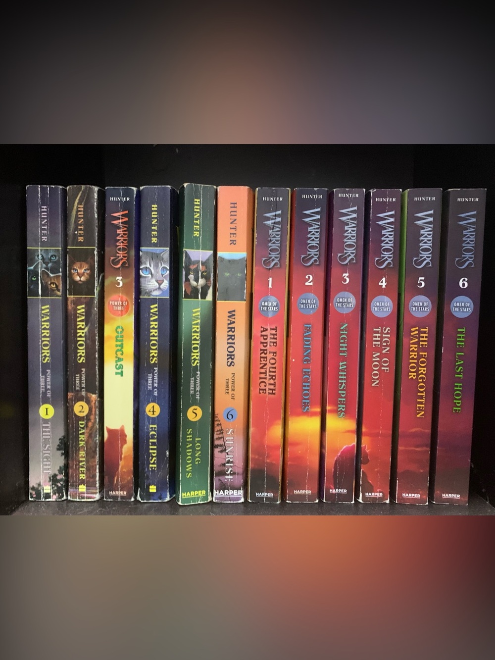 Warrior Cats Series 3 and 4 Power Of Three and Omen Of The Stars